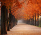 30 Days of Thanksgiving in November